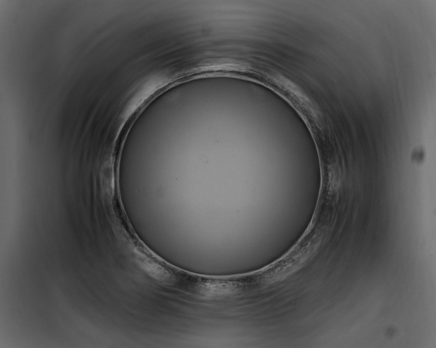 X0000100761274200806191159