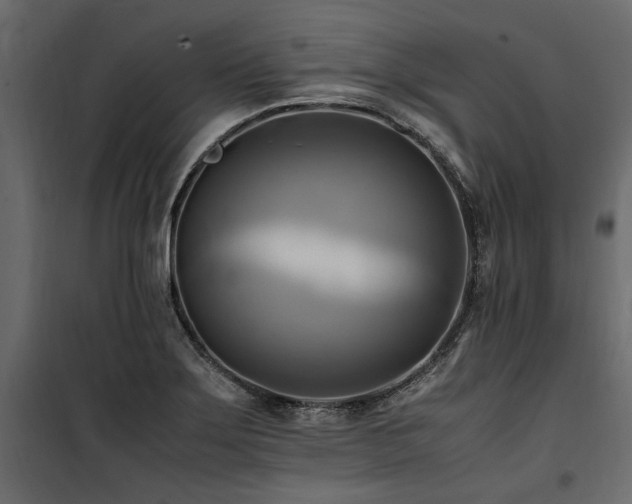 X0000100761275200806191159