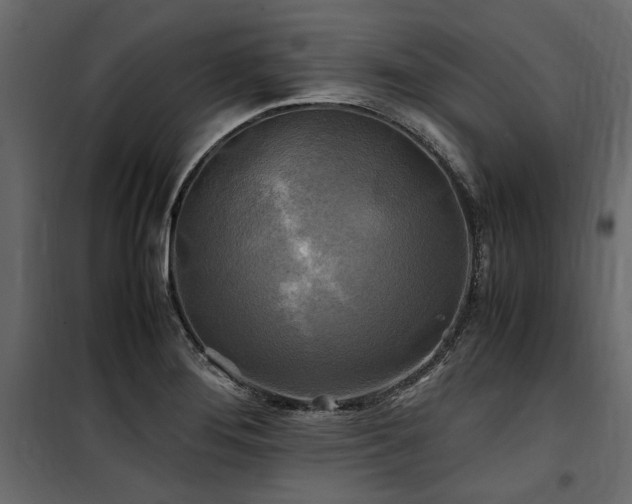 X0000100761276200806191159