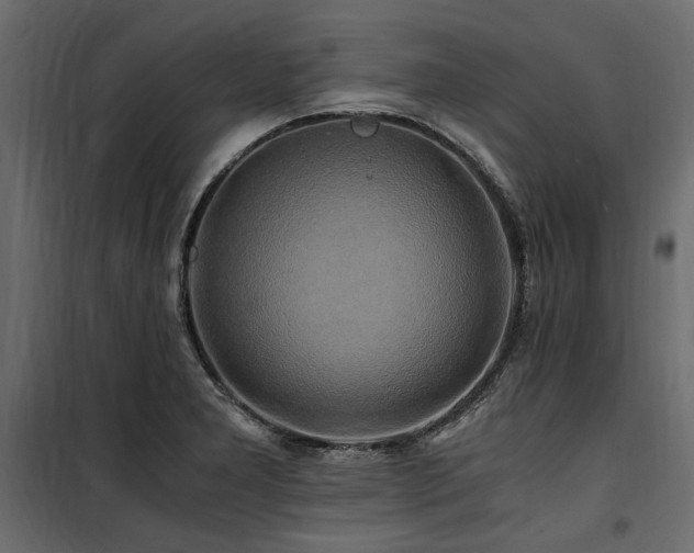 X0000100761277200806191159