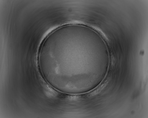 X0000100761278200806191159