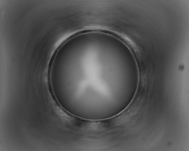 X0000100761279200806191159