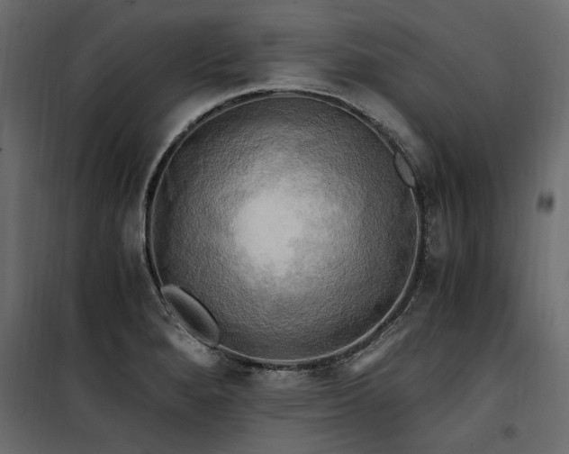 X0000100761280200806191159