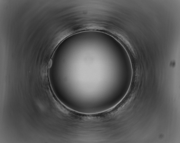 X0000100761281200806191159