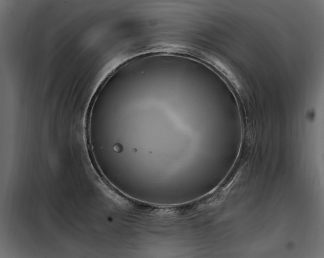 X0000100761283200806191159