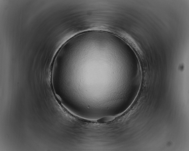 X0000100761284200806191159