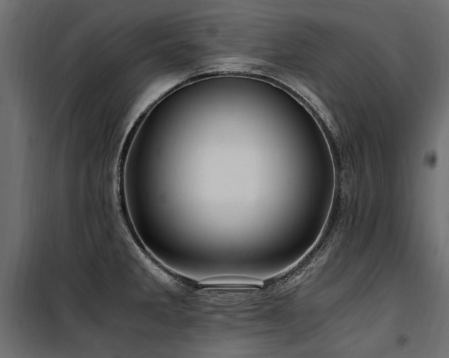 X0000100761285200806191159