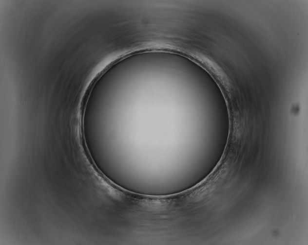 X0000100761286200806191159