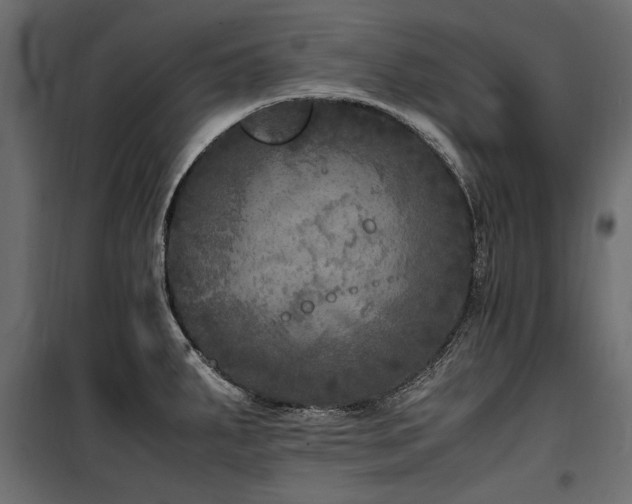 X0000100761287200806191159