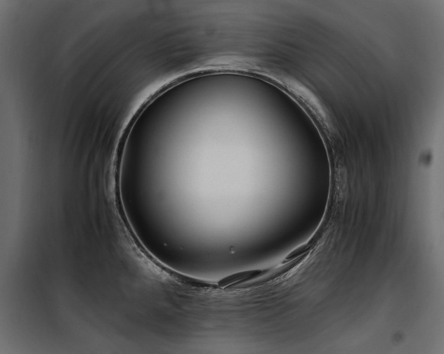 X0000100761288200806191159