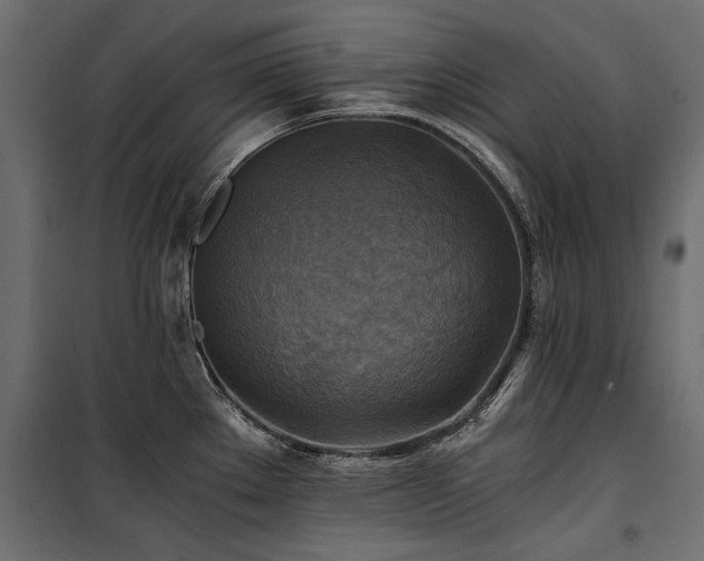 X0000100761289200806191159