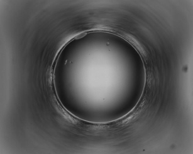 X0000100761292200806191159