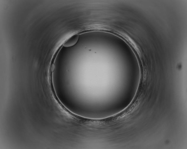 X0000100761293200806191159