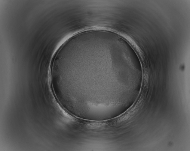 X0000100761294200806191159