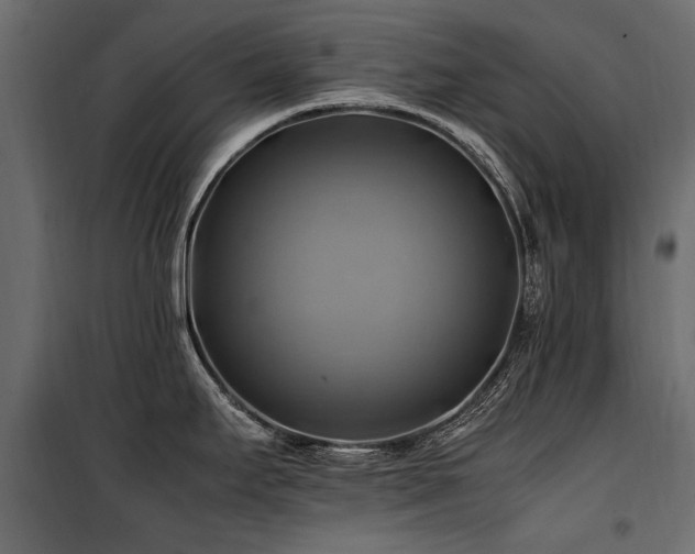 X0000100761295200806191158