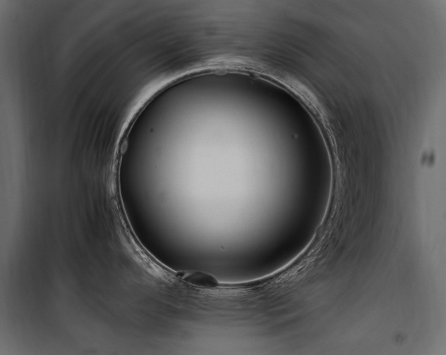 X0000100761296200806191158