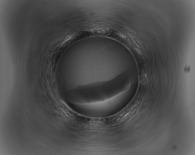 X0000100761297200806191158