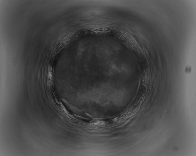 X0000100761298200806191158