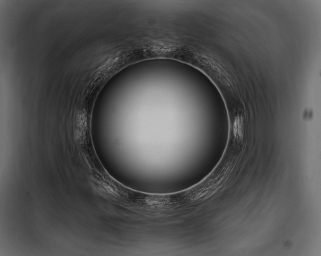 X0000100761299200806191158