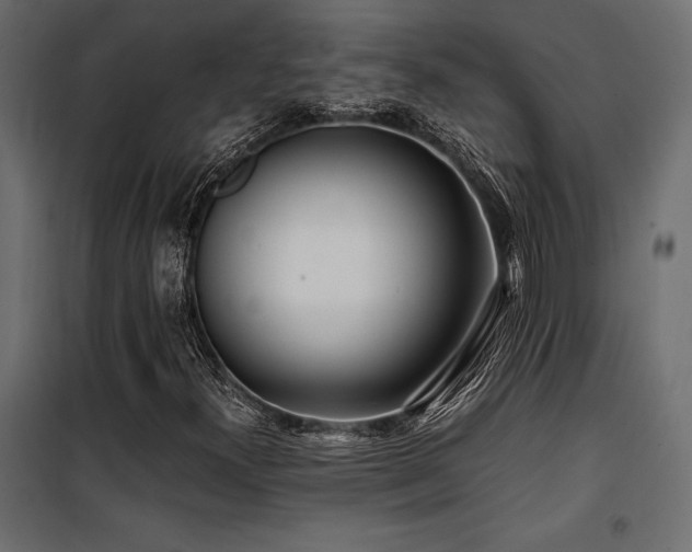 X0000100761300200806191158