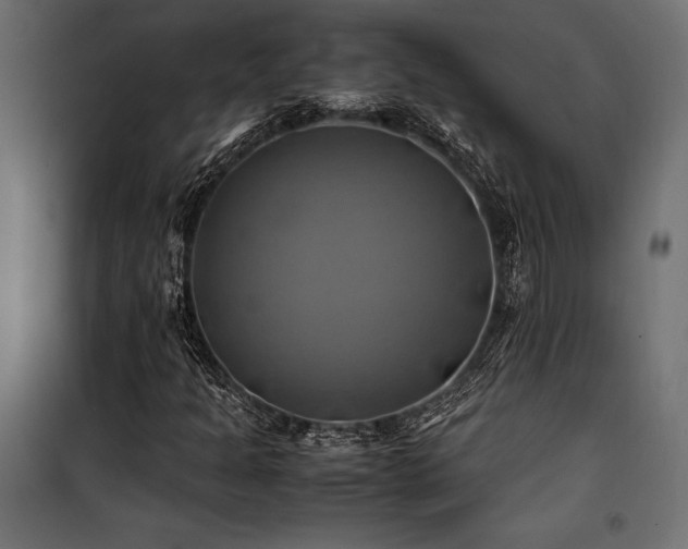 X0000100761301200806191158