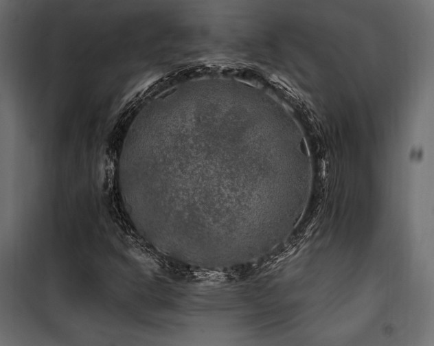 X0000100761302200806191158