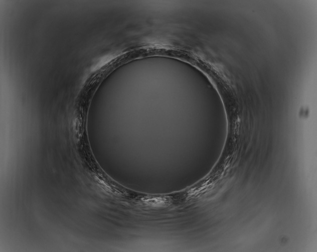 X0000100761303200806191158