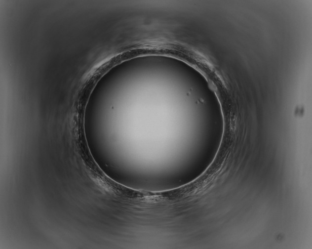 X0000100761304200806191158