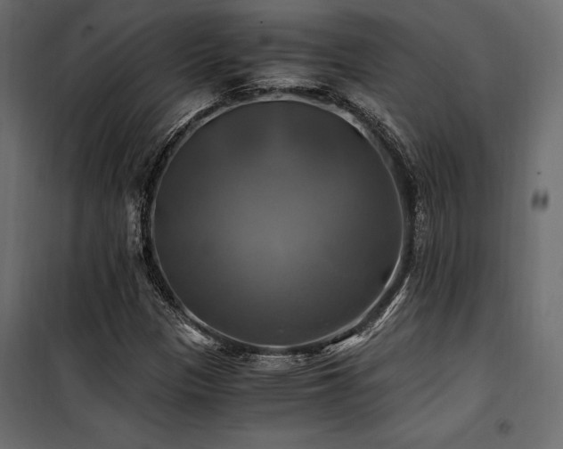 X0000100761305200806191158