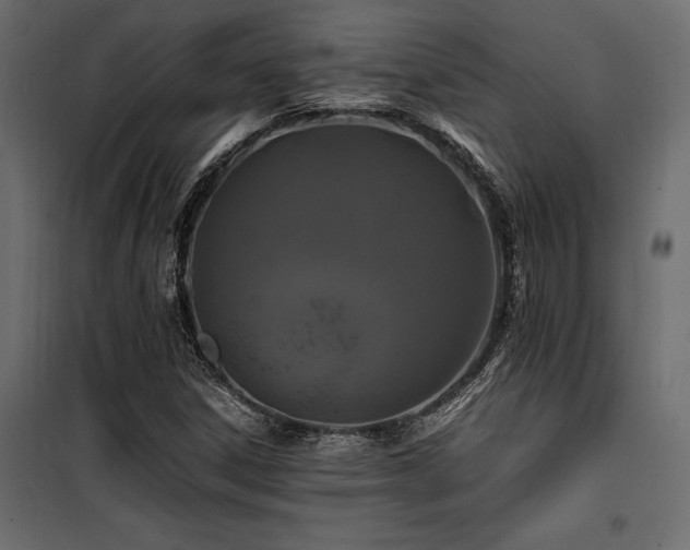 X0000100761306200806191158