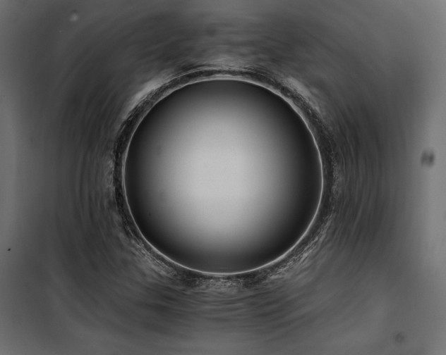 X0000100761307200806191158