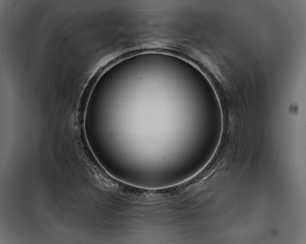 X0000100761308200806191158