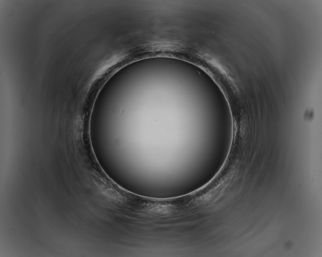 X0000100761309200806191158