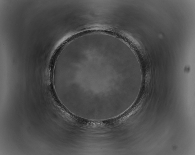 X0000100761310200806191158