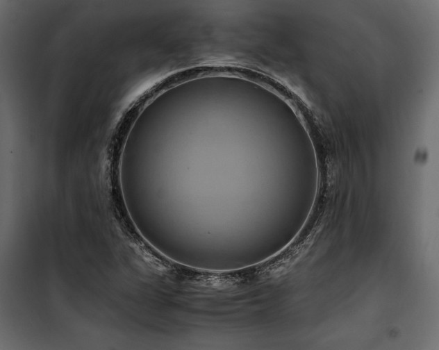 X0000100761311200806191158