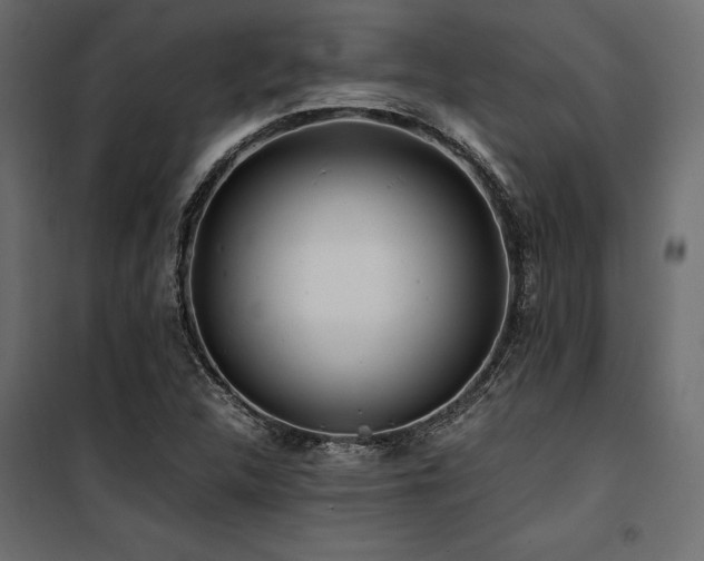 X0000100761312200806191158