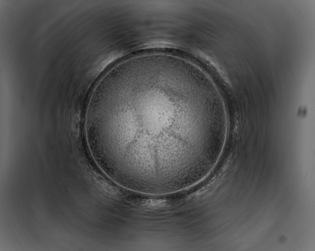 X0000100761313200806191158