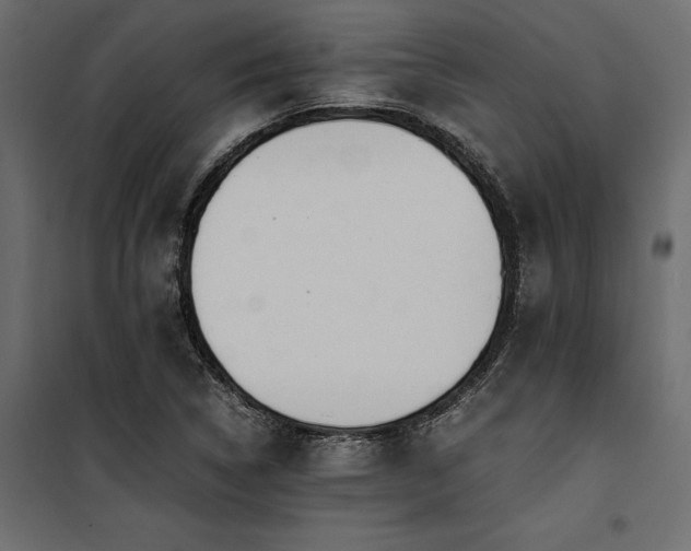 X0000100761314200806191158