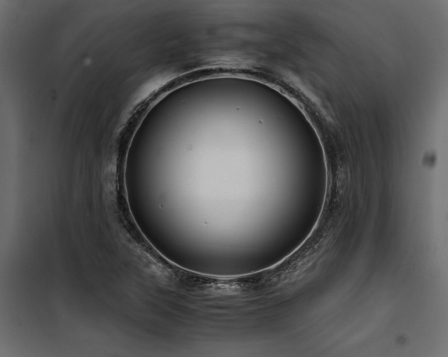 X0000100761315200806191158