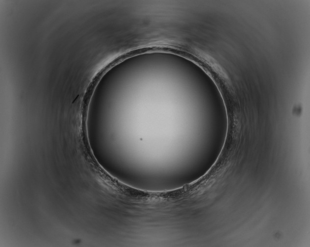 X0000100761316200806191158