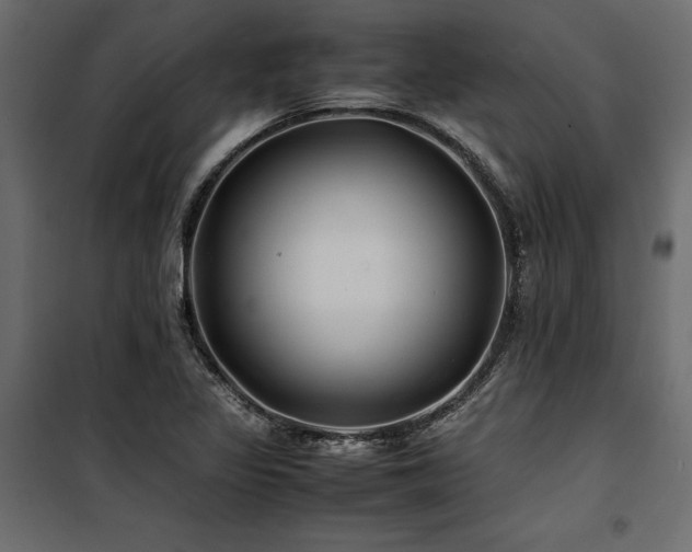 X0000100761317200806191158