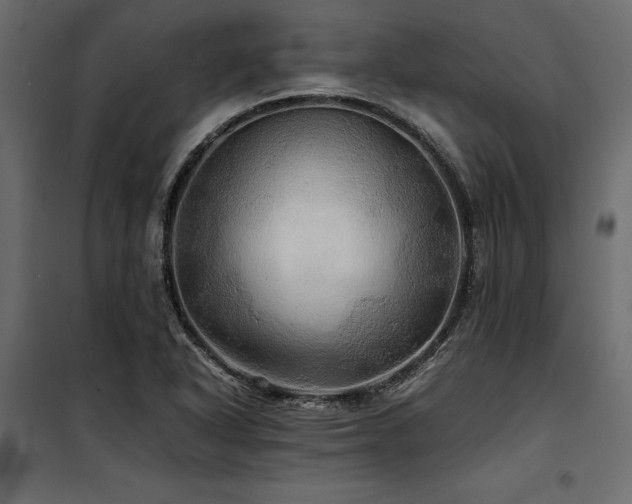 X0000100761318200806191158