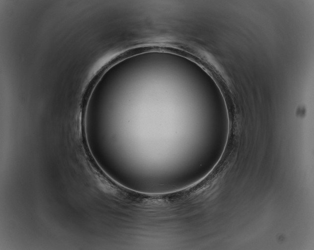 X0000100761320200806191158