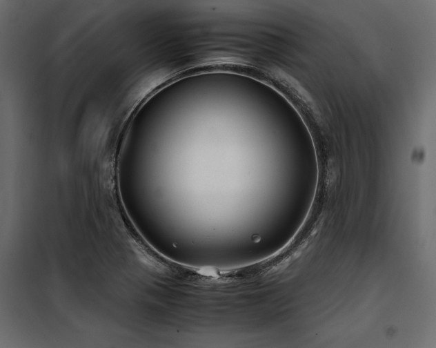 X0000100761321200806191158