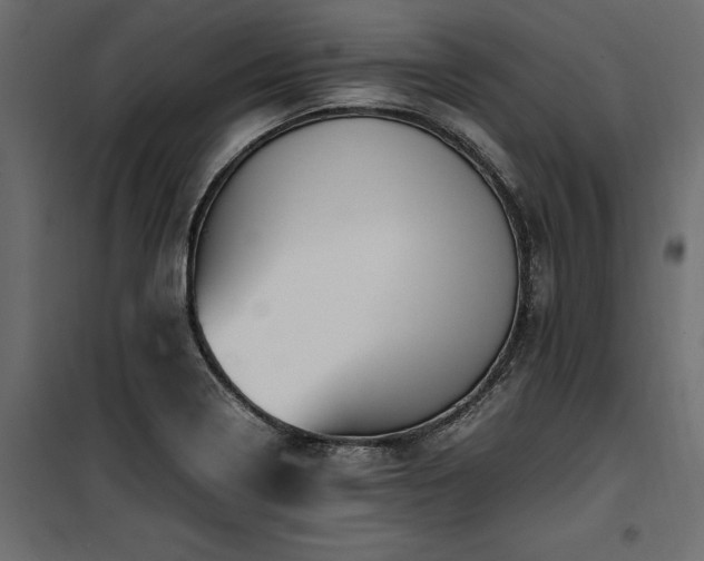 X0000100761322200806191158