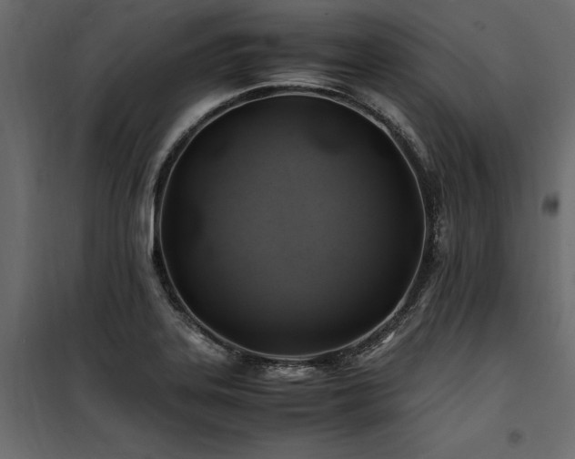 X0000100761323200806191158