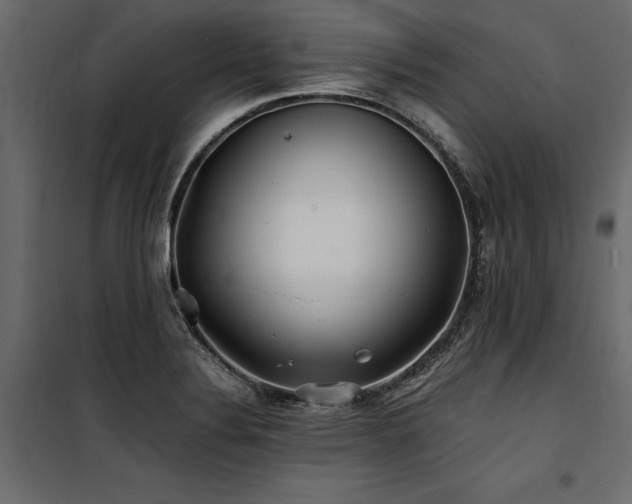 X0000100761324200806191158