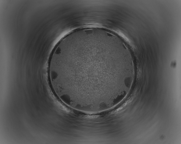 X0000100761325200806191158