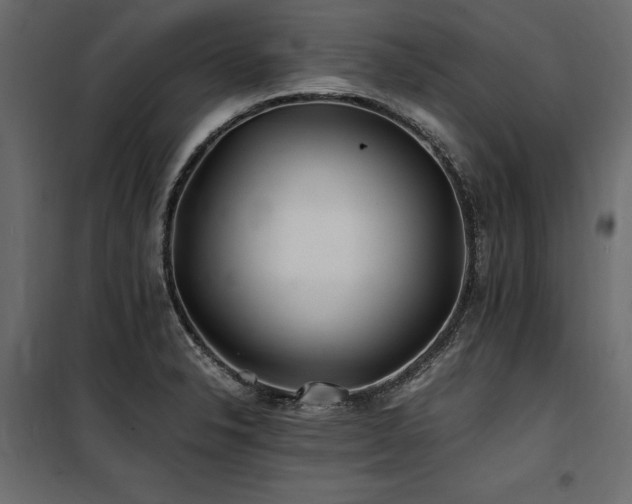 X0000100761326200806191158