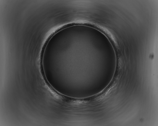 X0000100761327200806191158